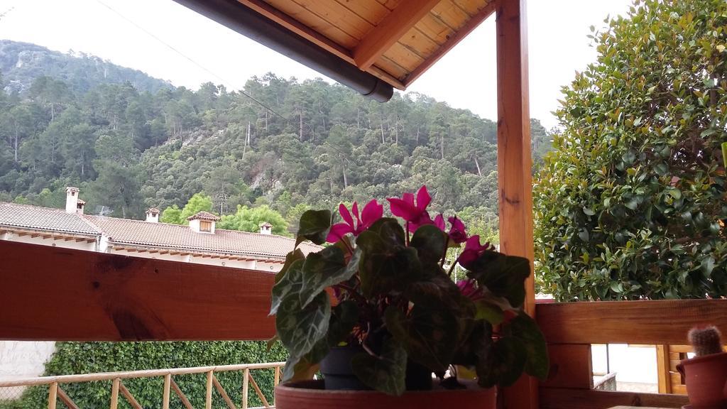 Cabanas De Madera El Rinconcillo 阿罗约弗里奥 外观 照片