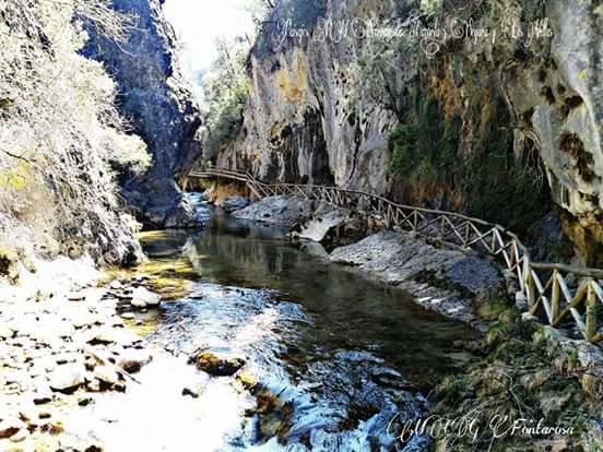Cabanas De Madera El Rinconcillo 阿罗约弗里奥 外观 照片